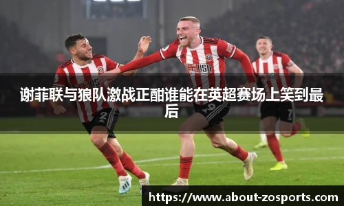 中欧体育