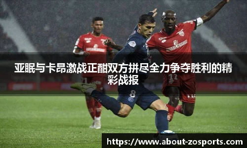 中欧体育