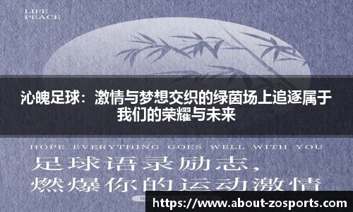 沁魄足球：激情与梦想交织的绿茵场上追逐属于我们的荣耀与未来
